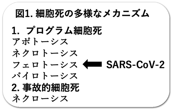 図1.