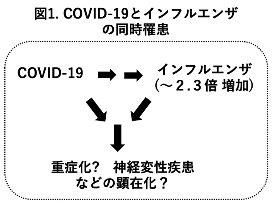 図1.