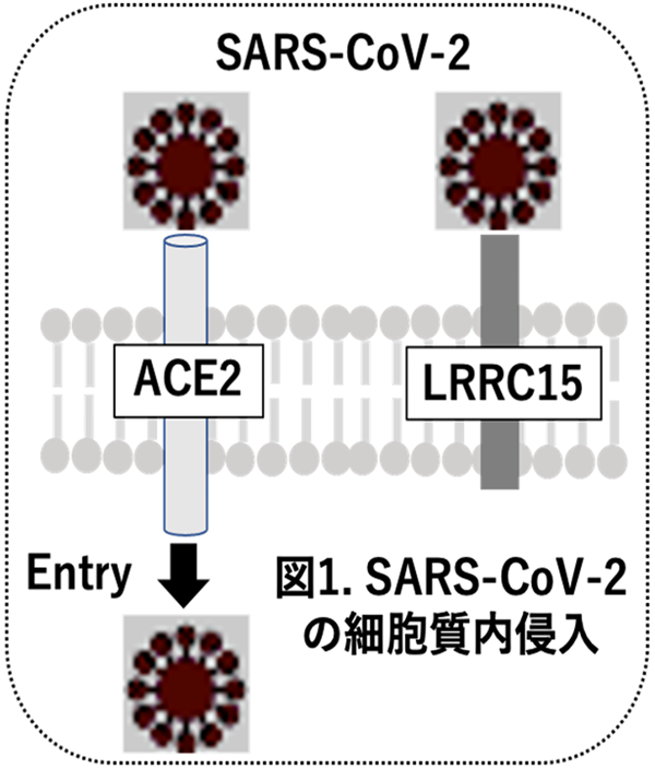 図1.