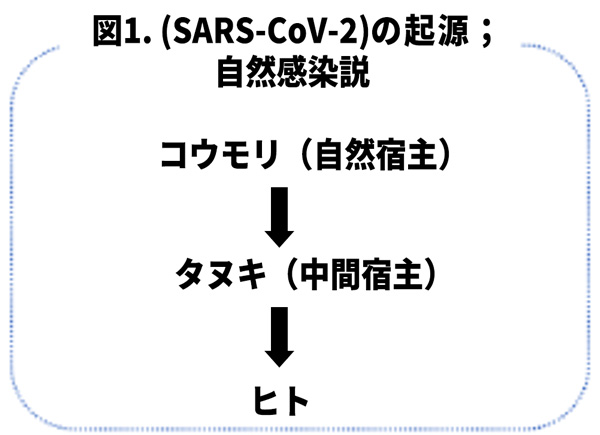 図1.