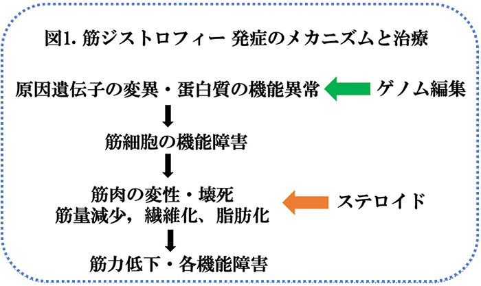 図1.