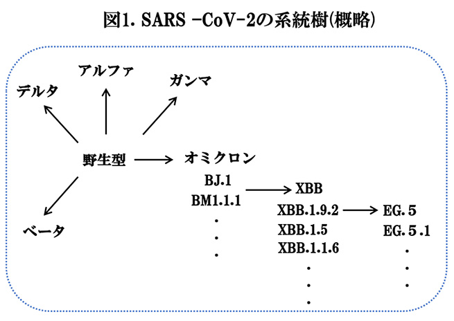 図1.