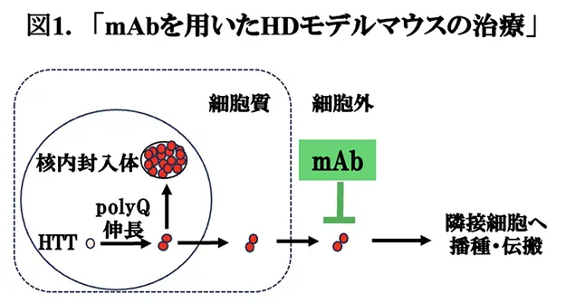 図1.