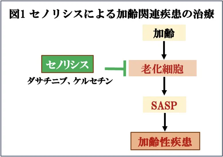 図1.