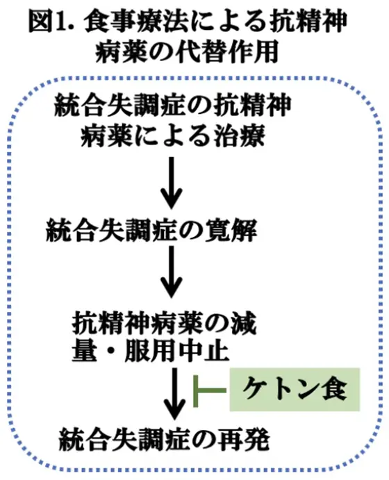 図1.