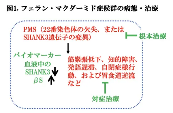 図1.