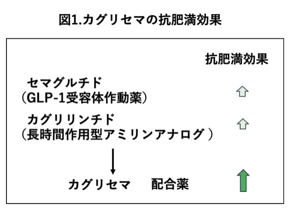 図1.