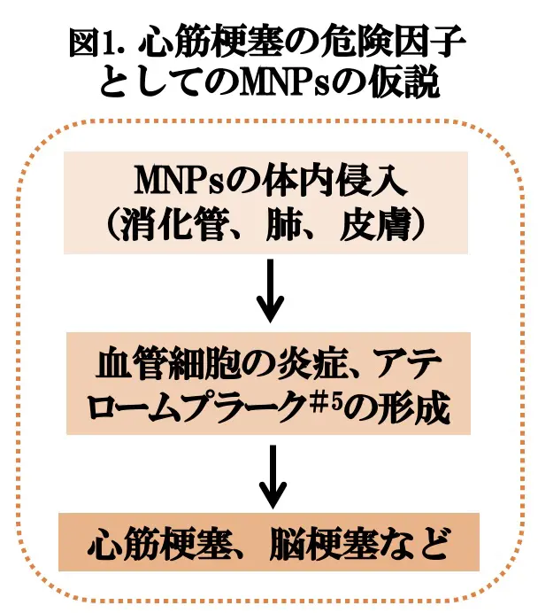 図1.