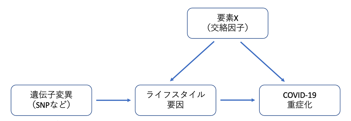 図1 メンデルランダム化解析のイメージ