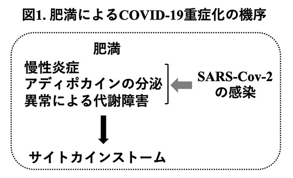 図1.