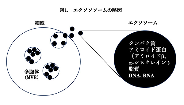 図1.