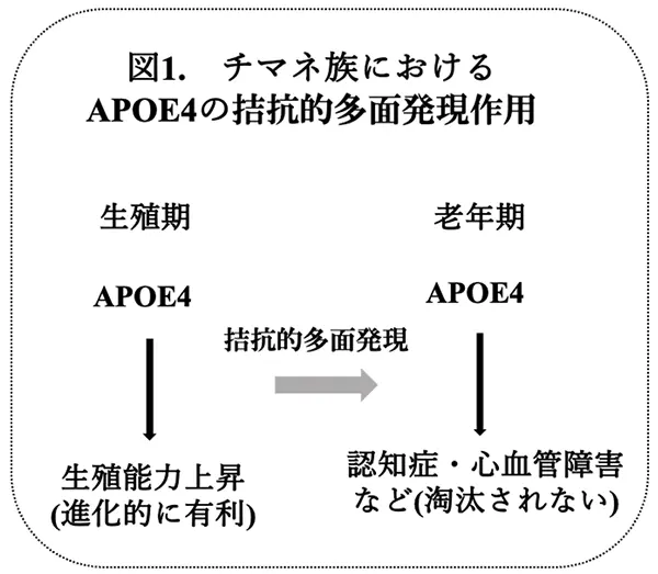 図1.