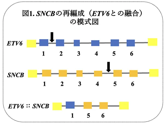 図1.