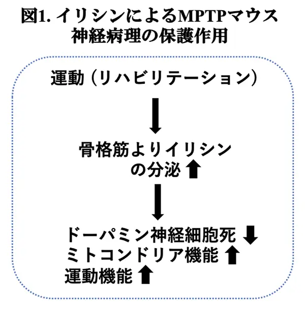 図1.