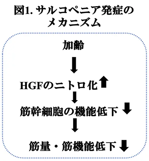 図1.