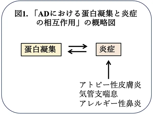 図1.