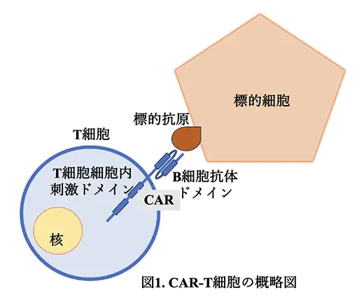 図1.