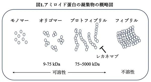 図1.