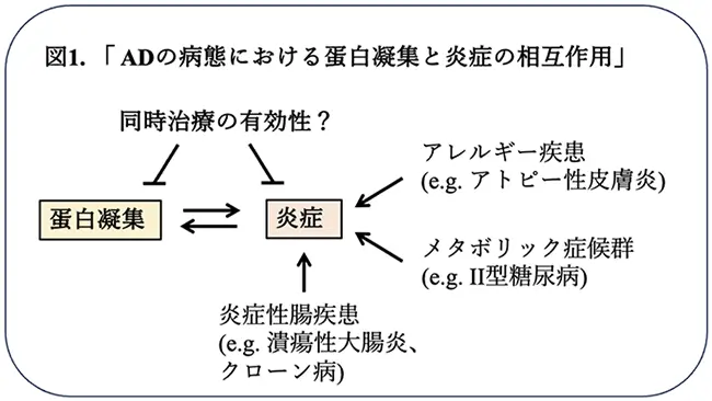 図1.