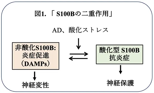 図1.