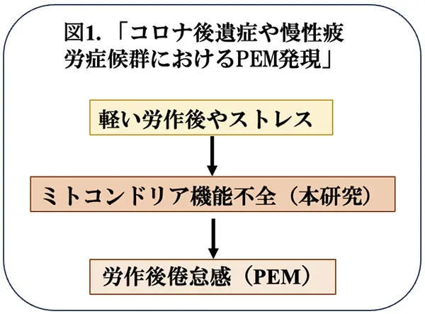 図1.