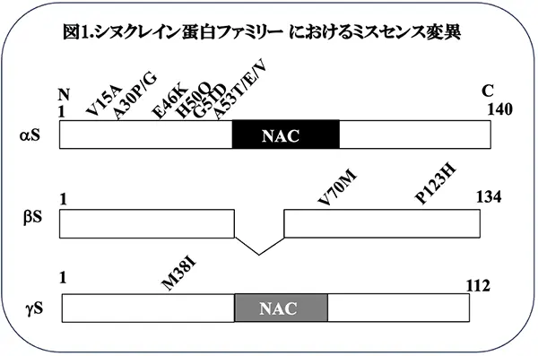 図1.