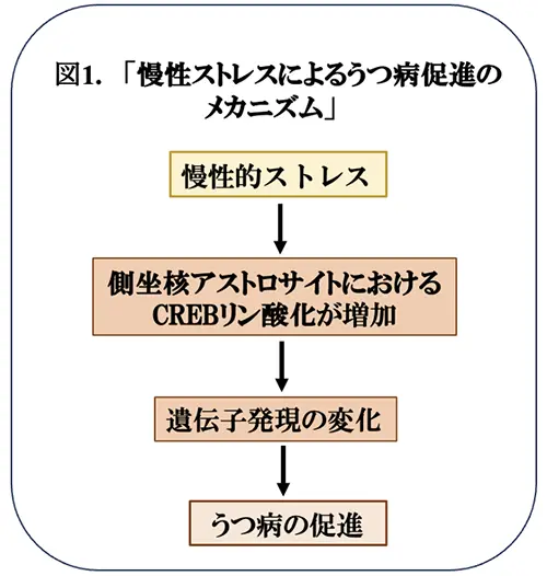 図1.