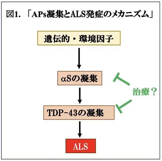 図1.