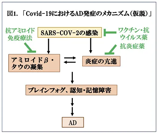 図1.