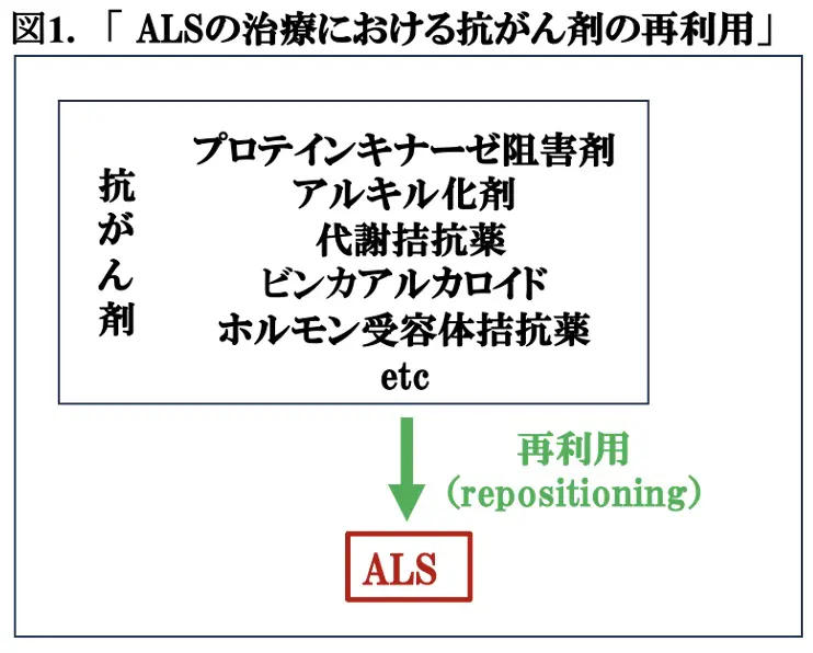 図1.