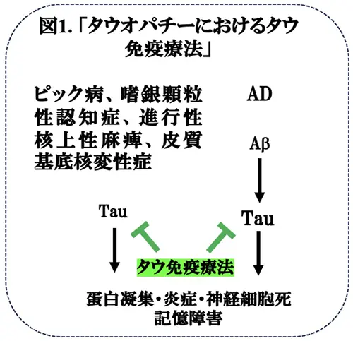 図1.