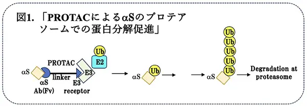図1.