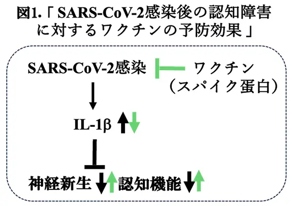 図1.