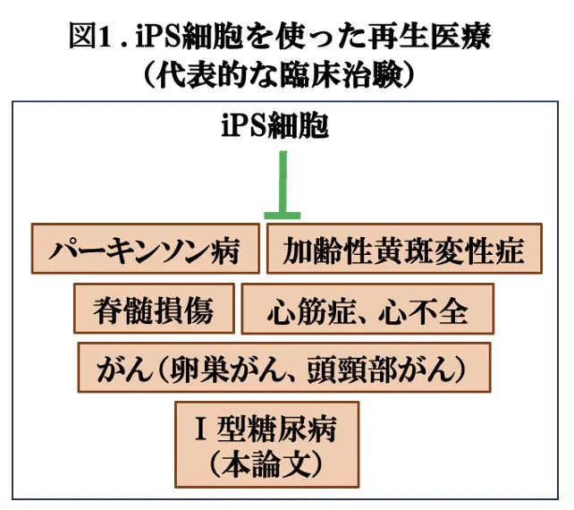 図1.