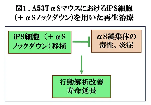 図1.
