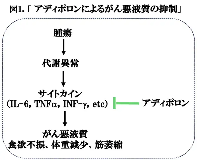 図1.