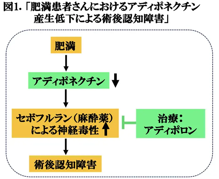 図1.