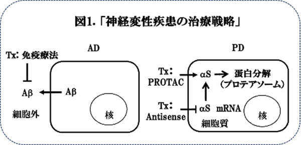 図1.