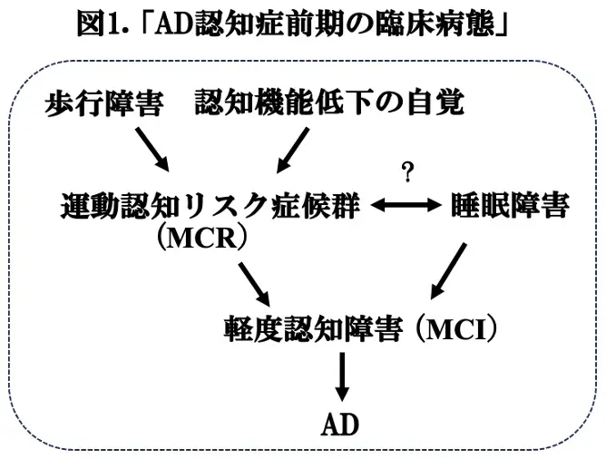 図1.