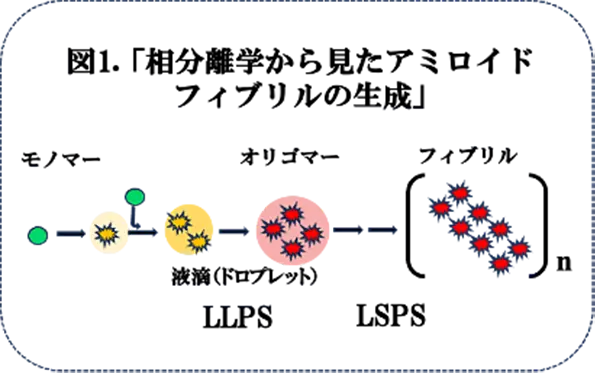 図1.