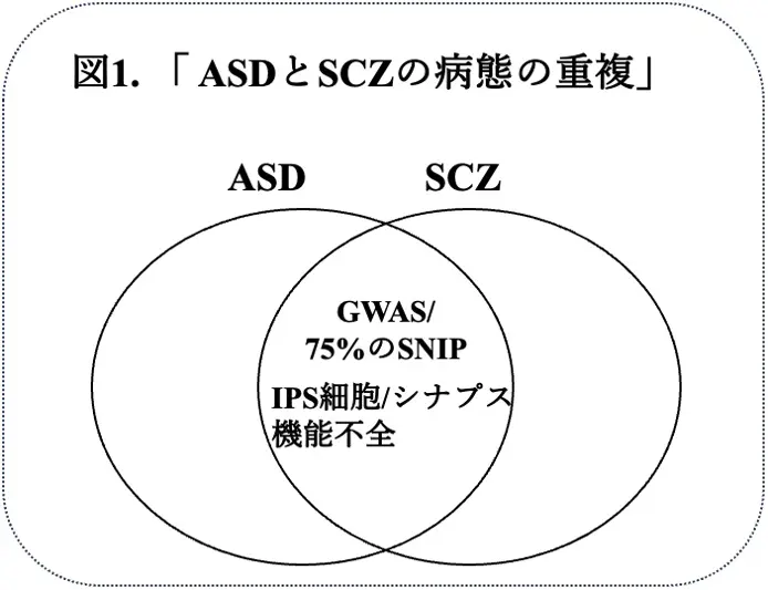 図1.
