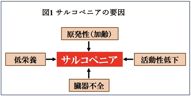図1.
