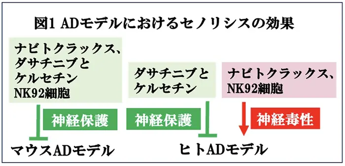 図1.