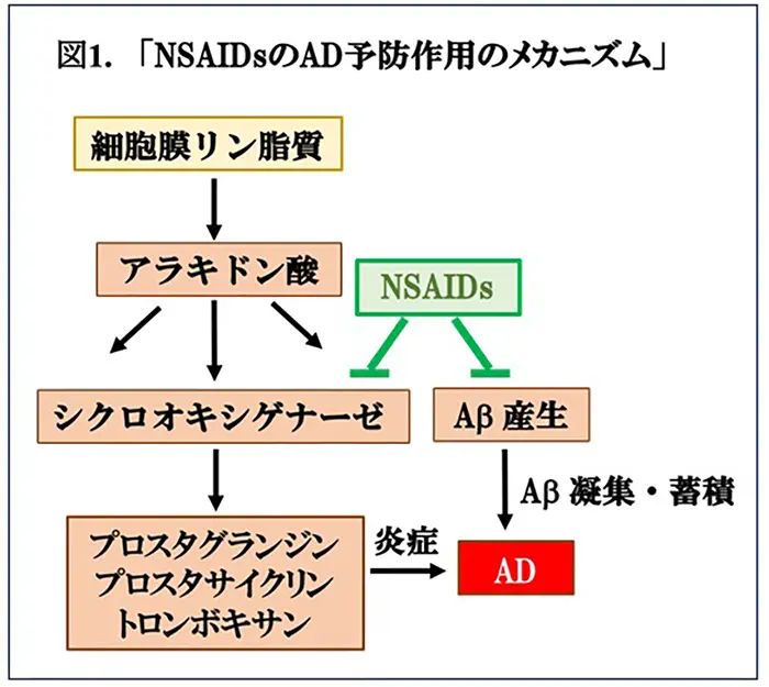 図1.