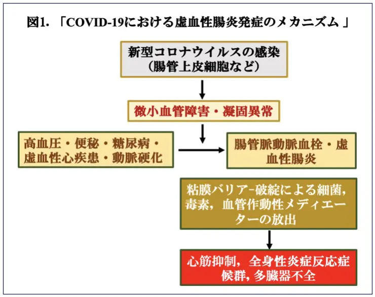 図1.