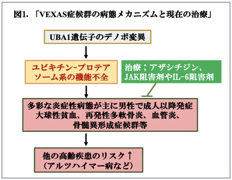 図1.