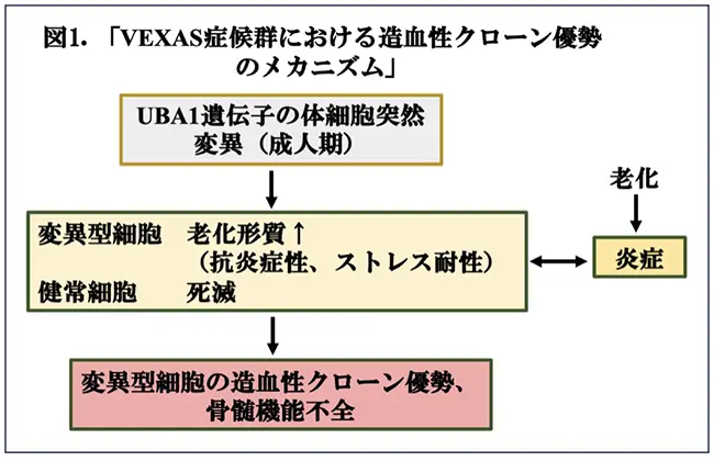 図1.