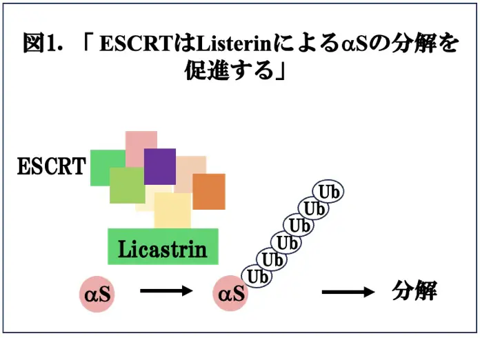 図1.