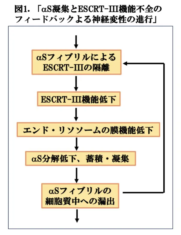 図1.
