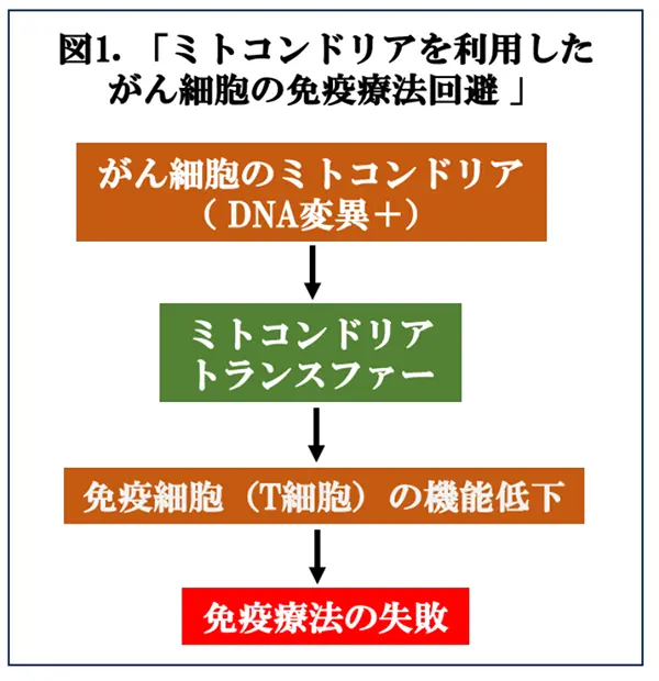 図1.